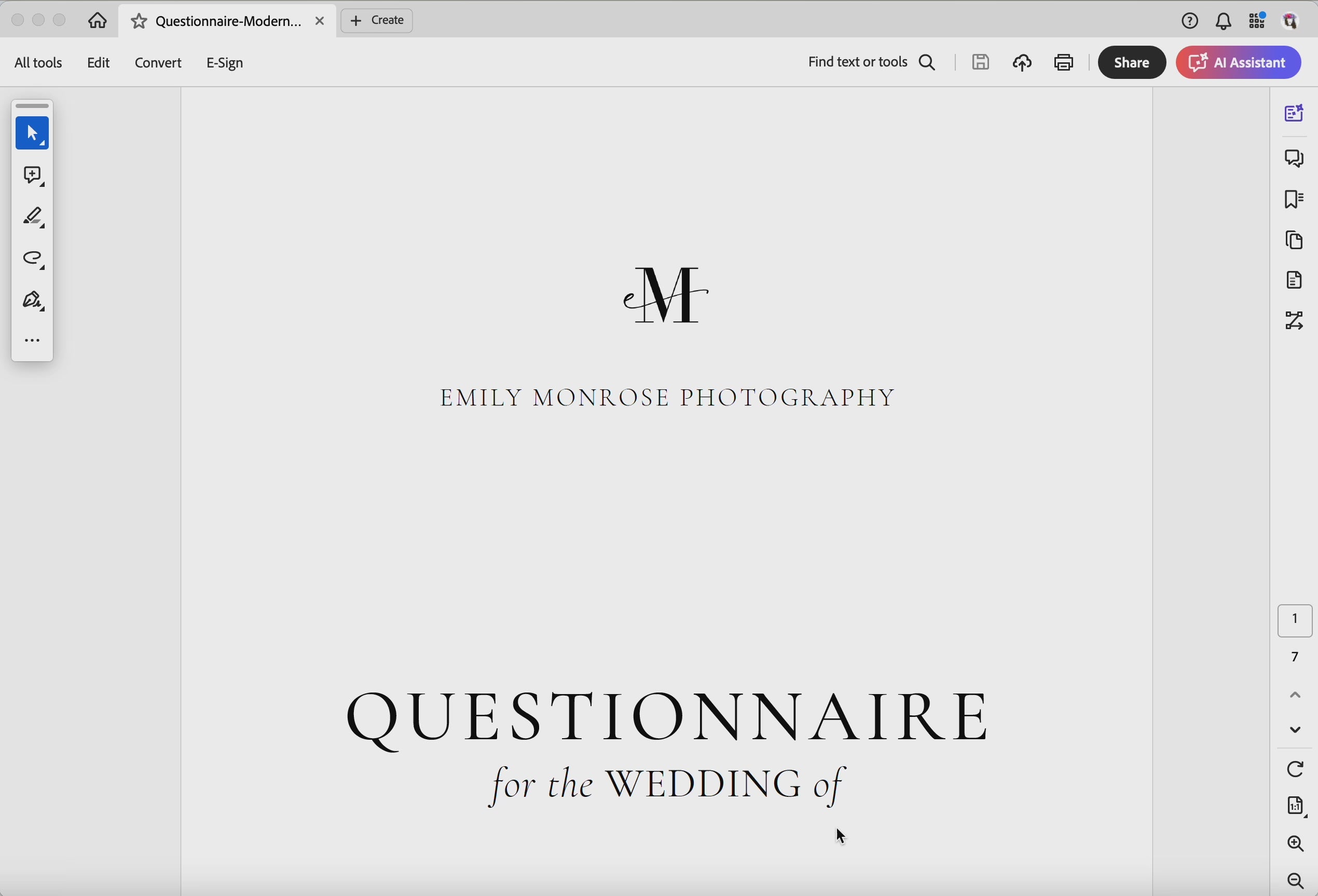 Load video: Fillable Client Questionnaire ~ Modern Romance